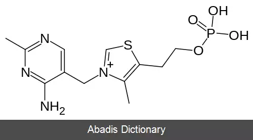 عکس تیامین مونوفسفات
