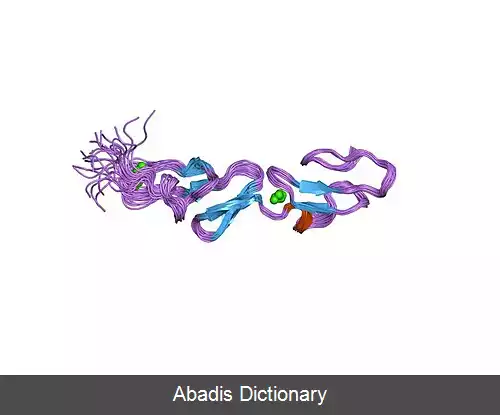 عکس فیبریلین ۱