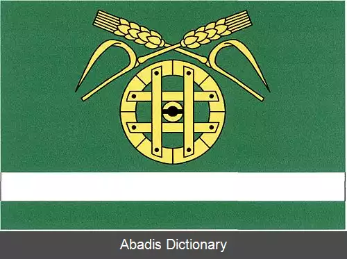 عکس ولکی بورک