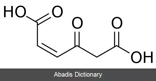 عکس مالیلاستیک اسید