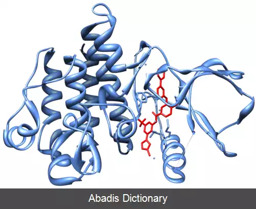 عکس بازدارنده تیروزین کیناز