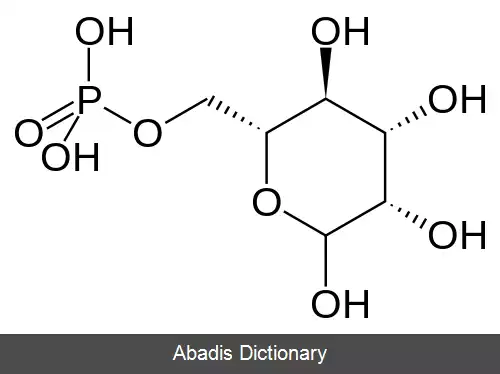 عکس مانوز ۶ فسفات