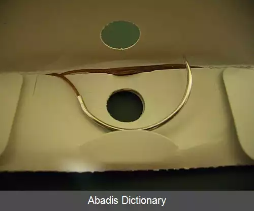 عکس کات گوت کرومیک