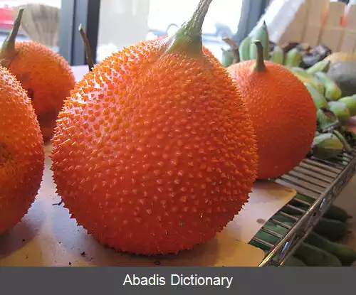 عکس کدوی خاردار