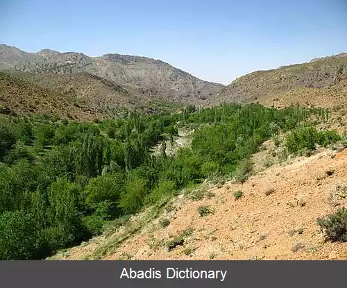 عکس سردمشک
