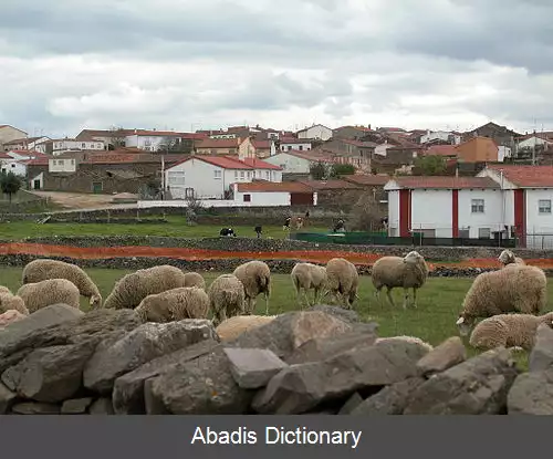 عکس دیگو دل کارپیو