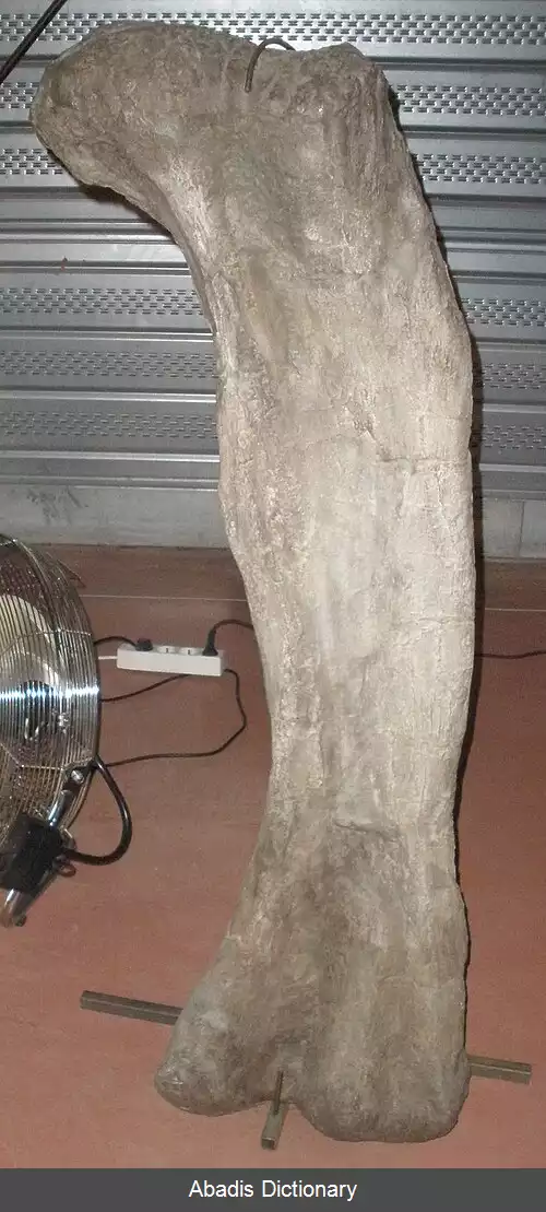 عکس فوویانگوسور