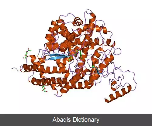 عکس آنزیم ۲ مبدل آنژیوتانسین