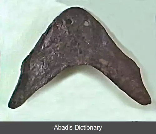 عکس دوشاخ سر