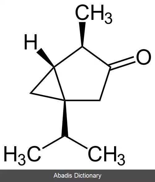 عکس توژون