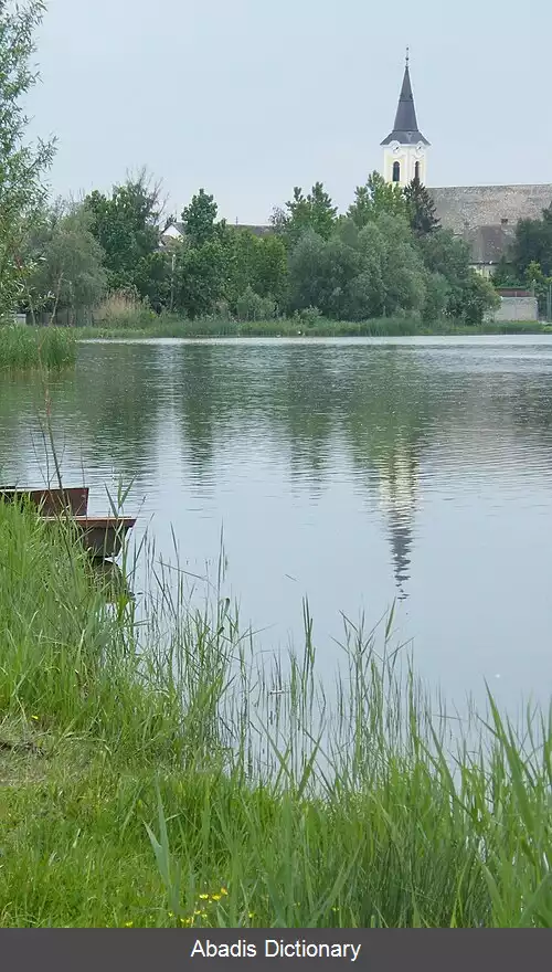عکس بودییسلو