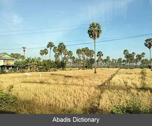 عکس استان کامپونگ چوننگ