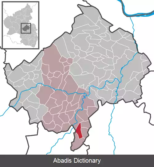 عکس رایفلباخ