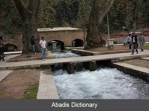 عکس ورینگ