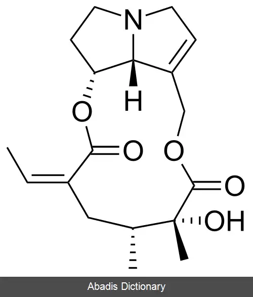عکس سنسیونین