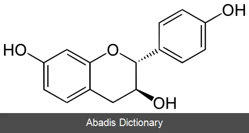 عکس گویبورتینیدول