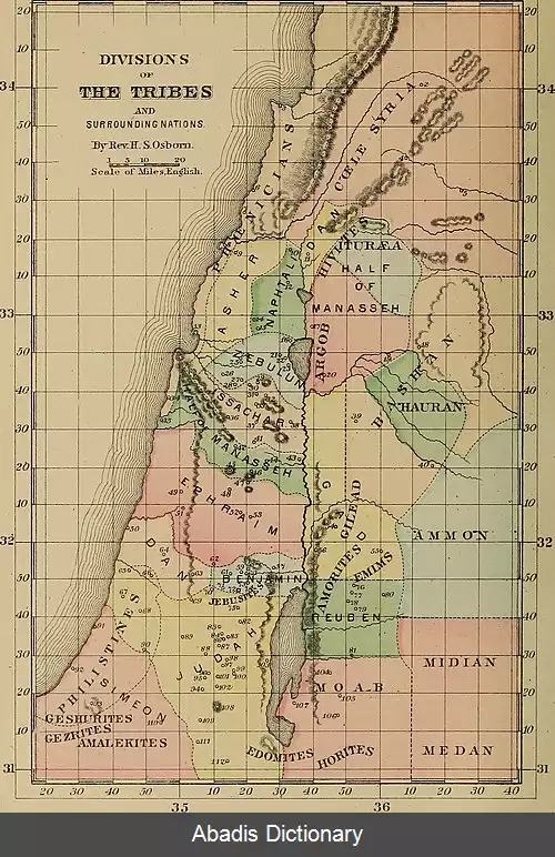 عکس بیت نمره