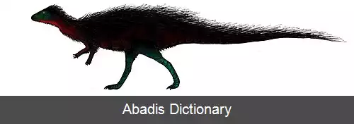 عکس کالووسور