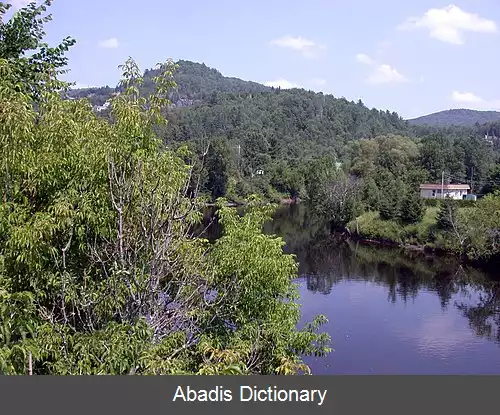 عکس پیه مون کبک