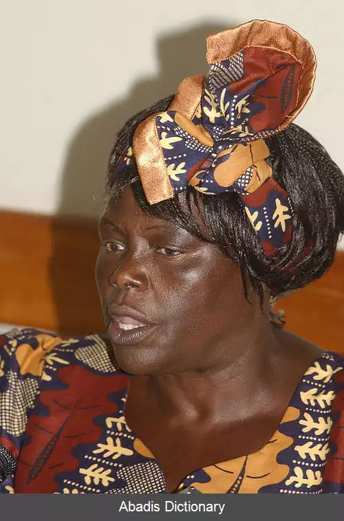 عکس زنان در آفریقا