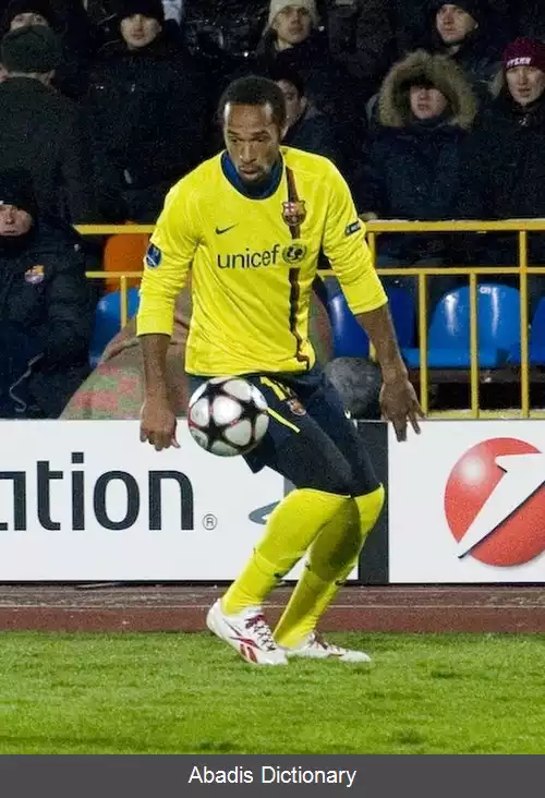 عکس فهرست گل های ملی تیری آنری