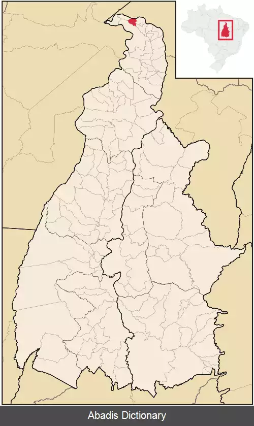 عکس بوریتی دو توکانتینس