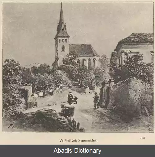 عکس ولک ژرنوسکی