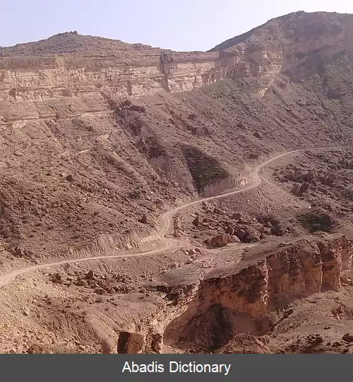 عکس دشتک سیاه