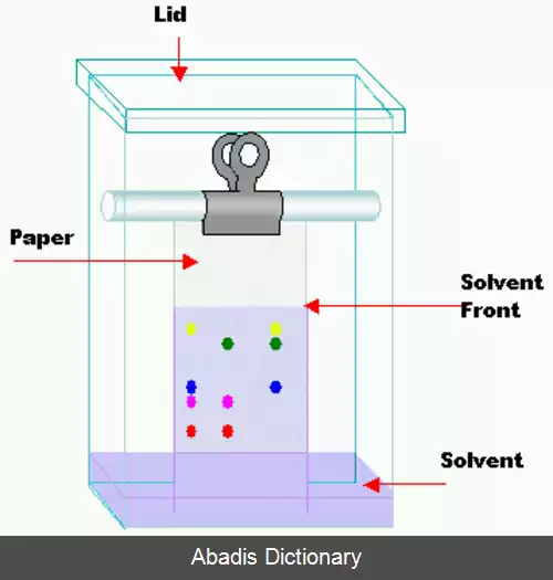 عکس کروماتوگرافی کاغذی