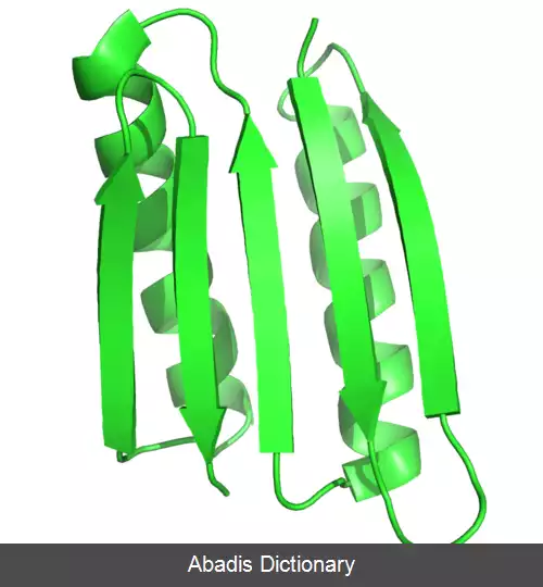 عکس طراحی پروتئین