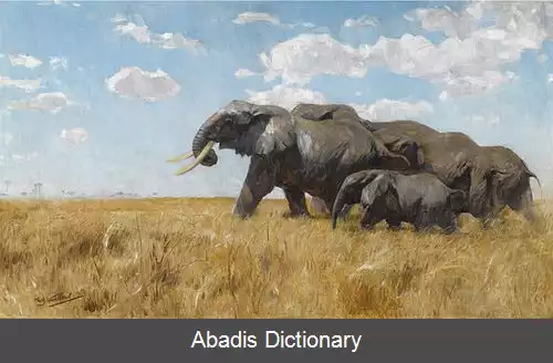 عکس ویلهلم کوهنرت