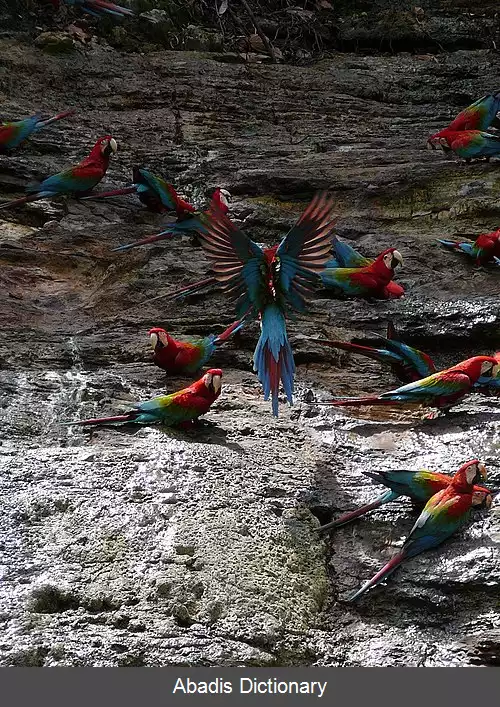 عکس استان اوکایالی