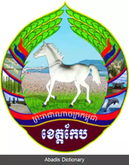 عکس استان کپ