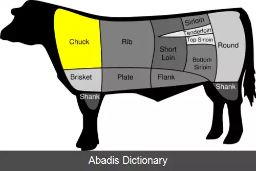 عکس استیک گردن