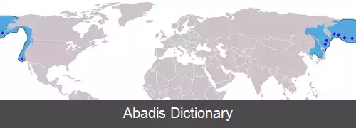 عکس فک خزپوش شمالی