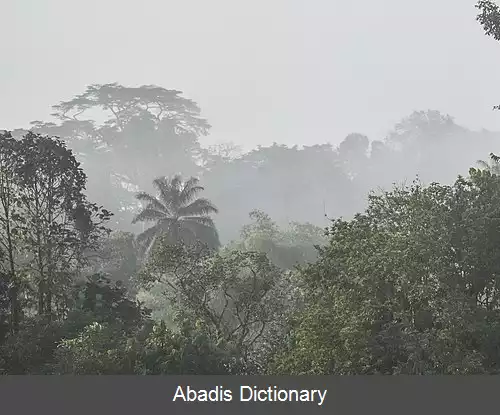 عکس زیاما ماسیف