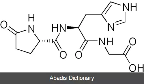 عکس پیروگلوتامیل هیستیدیل گلیسین