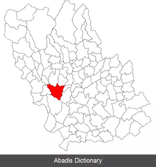 عکس بیکوی