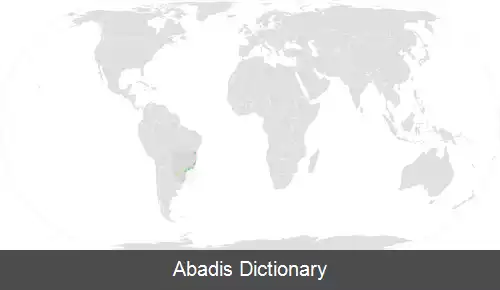 عکس داس نوک نوک سیاه