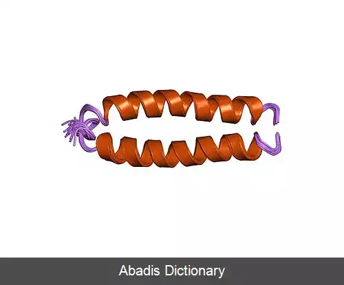عکس پروتئین پیوندی