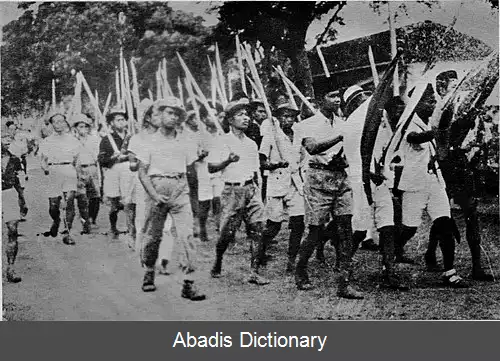 عکس نیزه خیزران