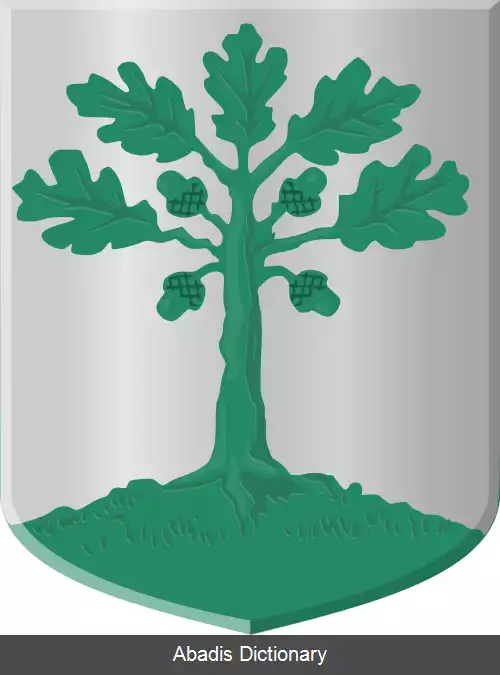 عکس فریزن فین