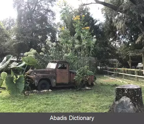 عکس زینت چمن کاری