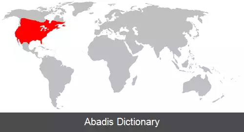 عکس کلاغ آمریکایی