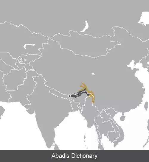 عکس گوزن فریادکش گونگشان