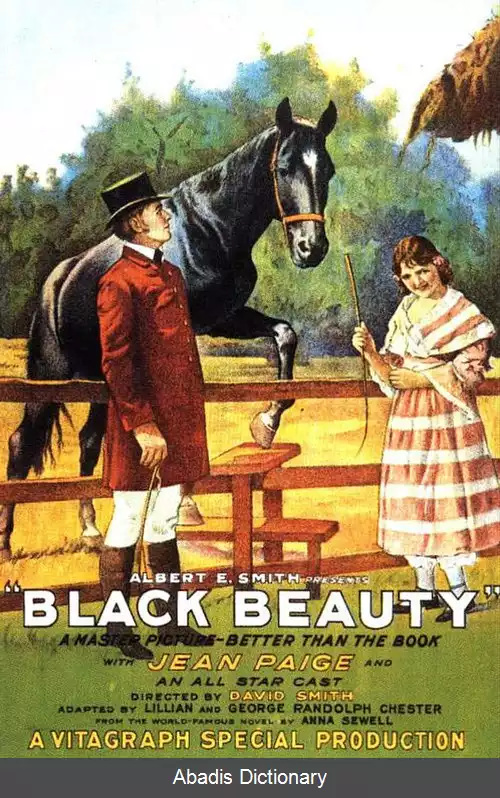عکس زیبای سیاه (فیلم ۱۹۲۱)