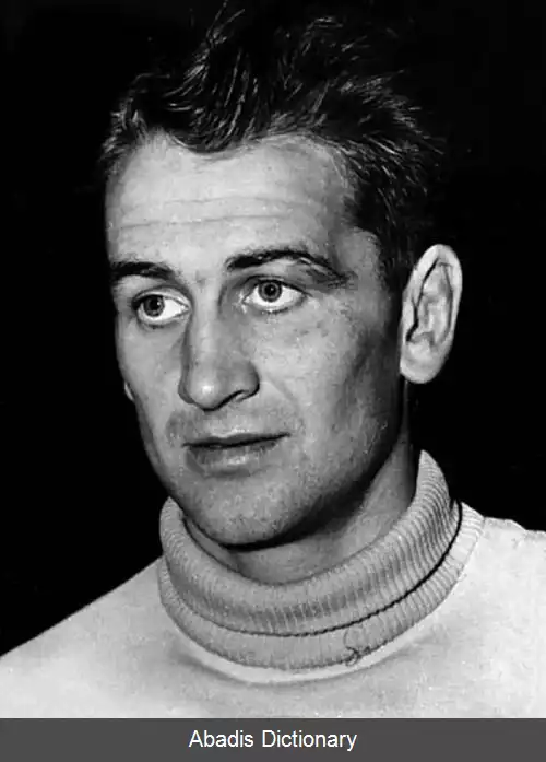 عکس استیگ شولین