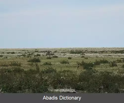 عکس پست بوم سیبری شرقی