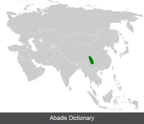 عکس چرخ ریسک سیچوان