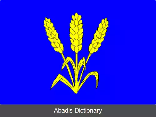 عکس دوماشوو